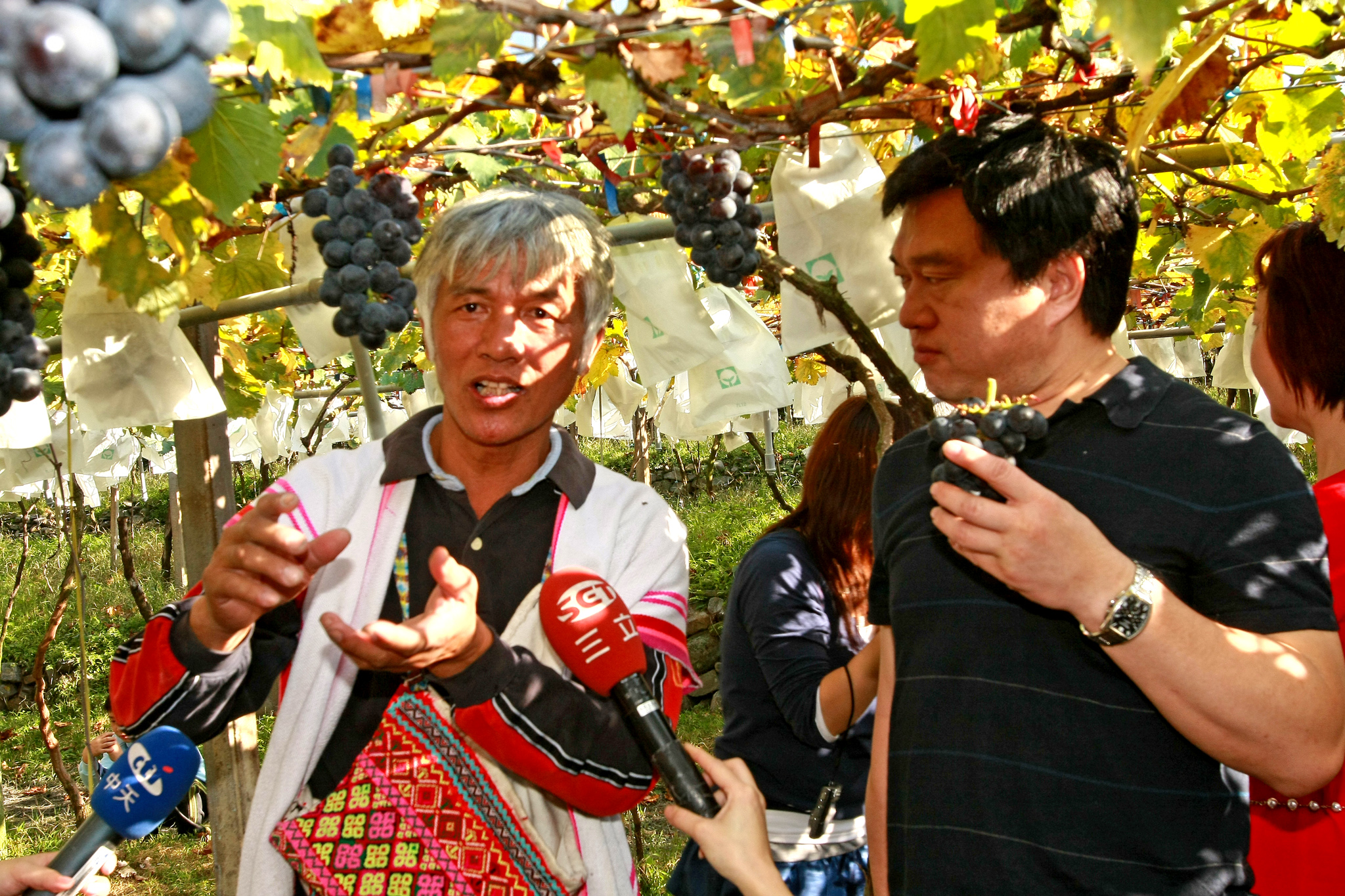 「信義鄉果樹產銷班第六班」全所福班長仔細的解釋著葡萄種植的過程。